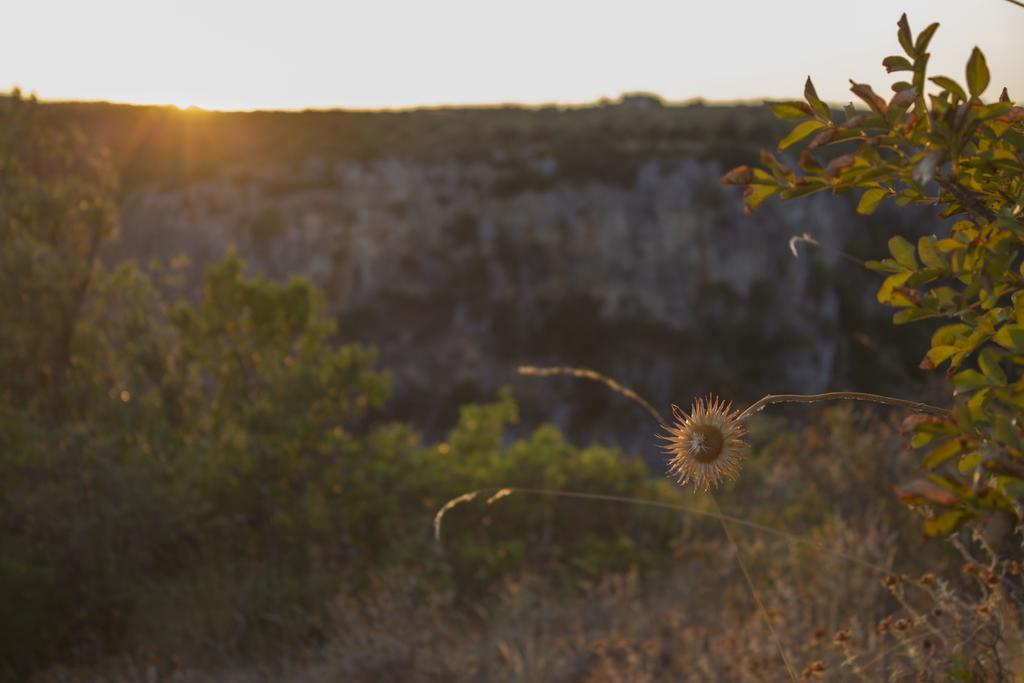 La Ferula Villa Laterza Bagian luar foto